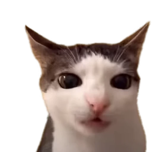 ☺️ Стикер «TikTok memes» для Telegram