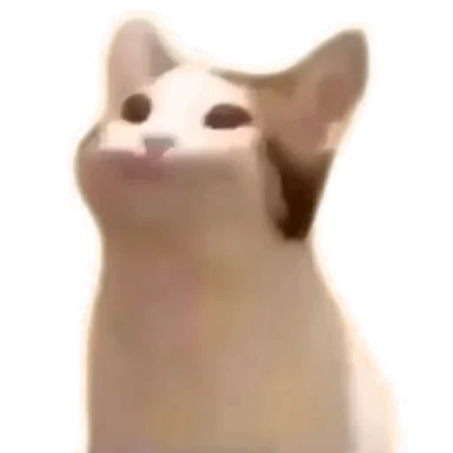😁 Стикер «TikTok memes» для Telegram