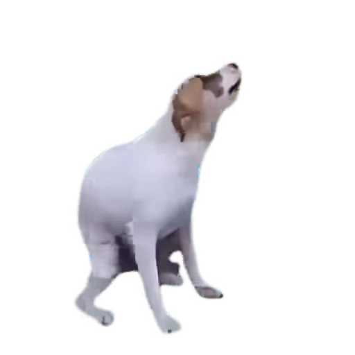 🥳 Стикер «TikTok memes» для Telegram