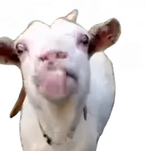 😍 Стикер «TikTok memes» для Telegram
