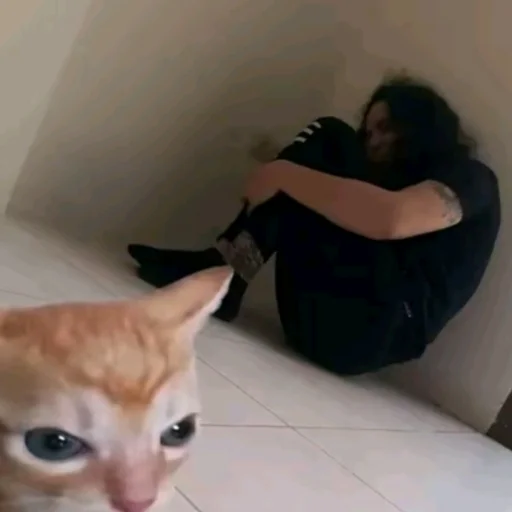 🤍 Стикер «TikTok Memes» для Telegram