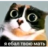 🌟 Эмодзи «tt pic» для Telegram