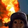 🌟 Эмодзи «tt pic» для Telegram