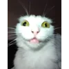 🌟 Эмодзи «tt pic» для Telegram