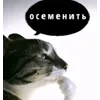 🌟 Эмодзи «tt pic» для Telegram