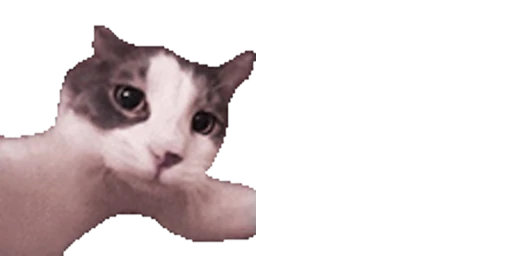😘 Стикер «Animated Twitch Emotes» для Telegram