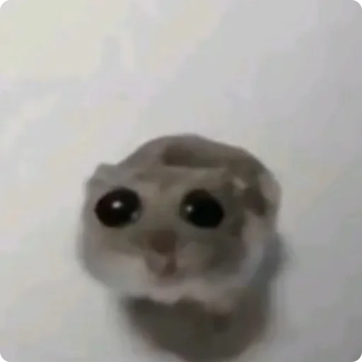 🥺 Стикер «Tuchlyatina» для Telegram