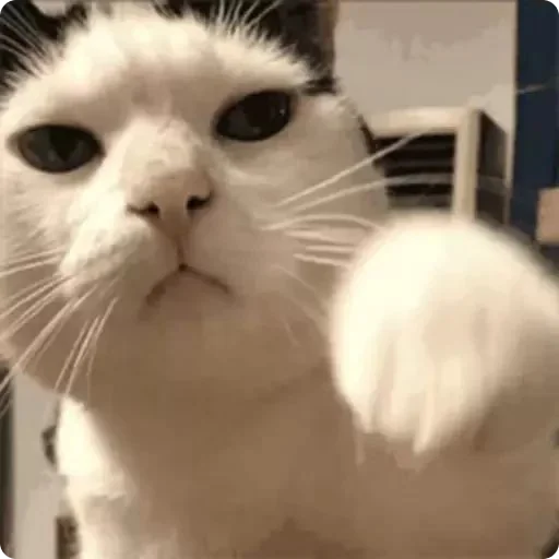 👊 Стикер «Tuchlyatina» для Telegram