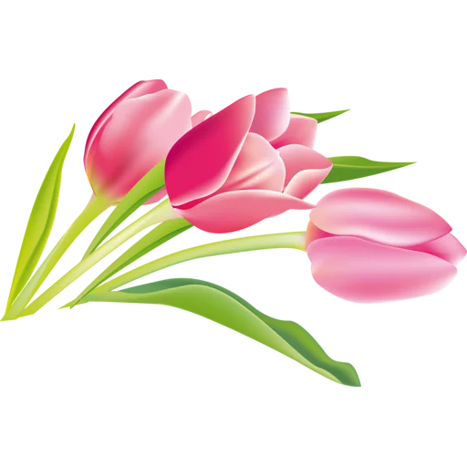 🌷 Стикер «Tulips» для Telegram