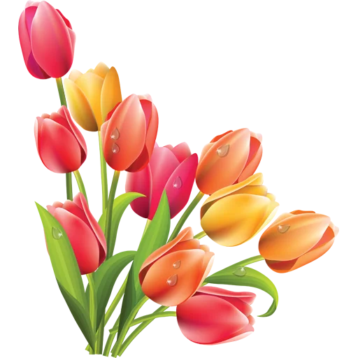 🌷 Стикер «Tulips» для Telegram