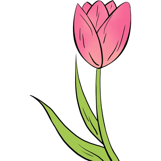 🌷 Стикер «Tulips» для Telegram