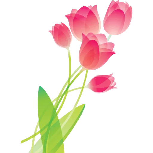🌷 Стикер «Tulips» для Telegram