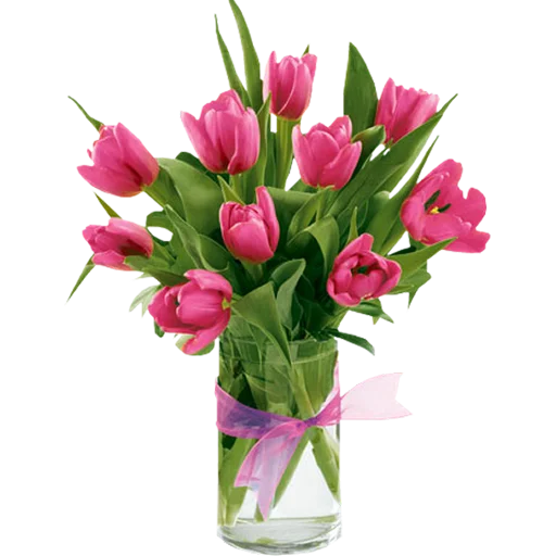 🌷 Стикер «Tulips» для Telegram