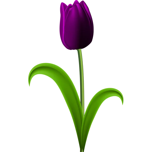 🌷 Стикер «Tulips» для Telegram