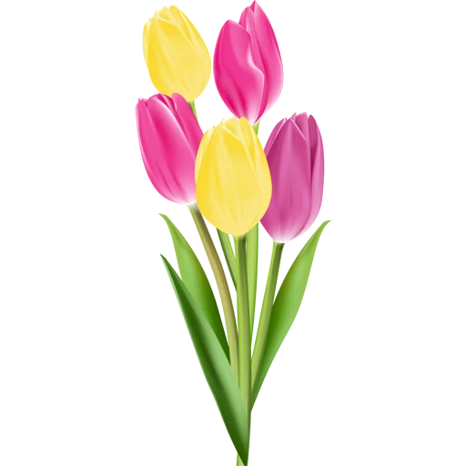 🌷 Стикер «Tulips» для Telegram