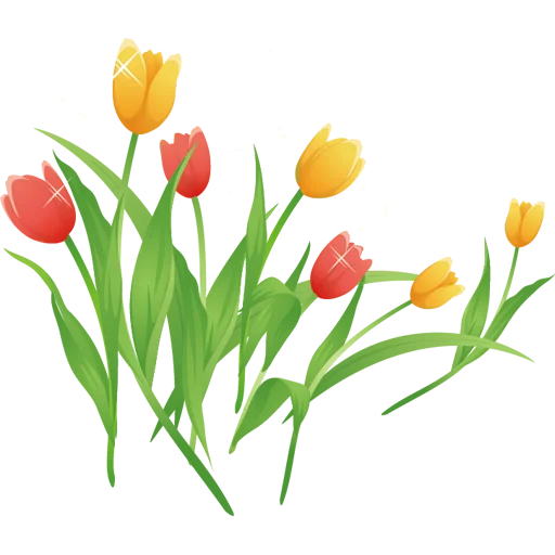 🌷 Стикер «Tulips» для Telegram