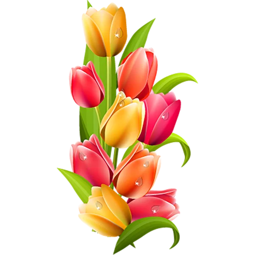 🌷 Стикер «Tulips» для Telegram