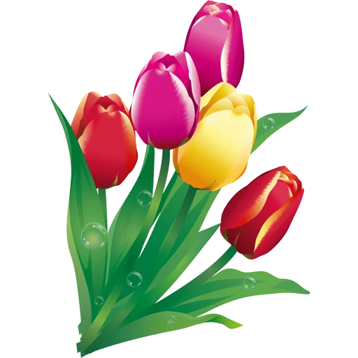 🌷 Стикер «Tulips» для Telegram