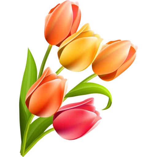🌷 Стикер «Tulips» для Telegram