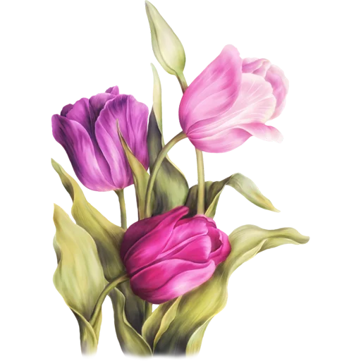 🌷 Стикер «Tulips» для Telegram