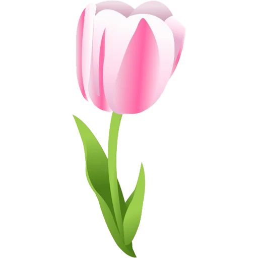 🌷 Стикер «Tulips» для Telegram