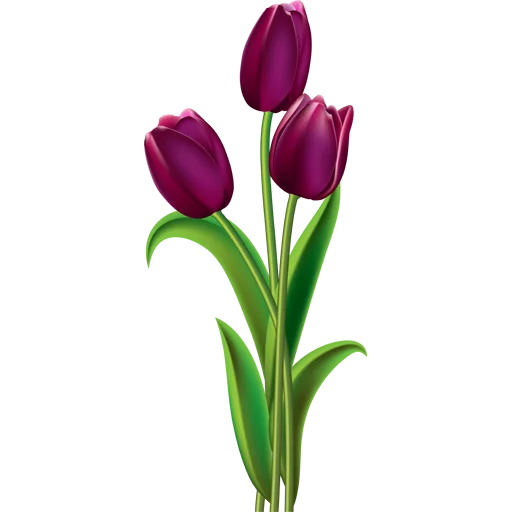 🌷 Стикер «Tulips» для Telegram