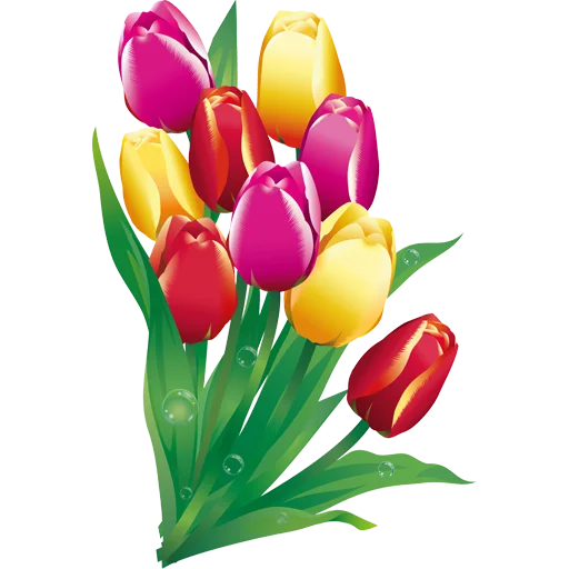 🌷 Стикер «Tulips» для Telegram