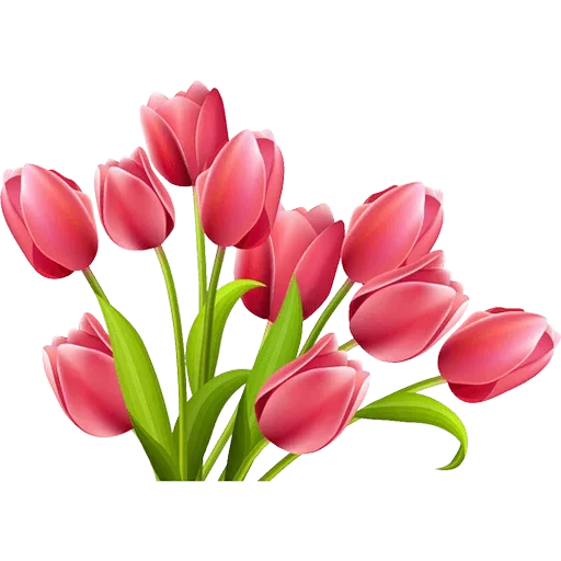🌷 Стикер «Tulips» для Telegram