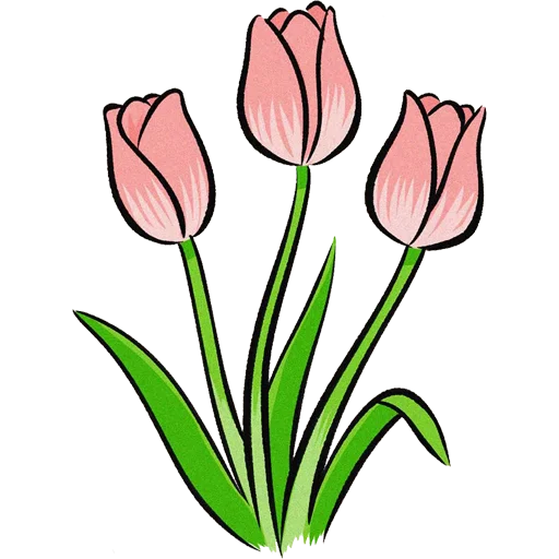 🌷 Стикер «Tulips» для Telegram