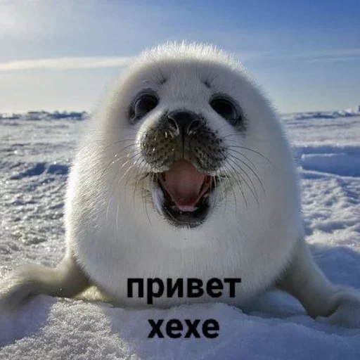 👋 Стикер «Tuni» для Telegram