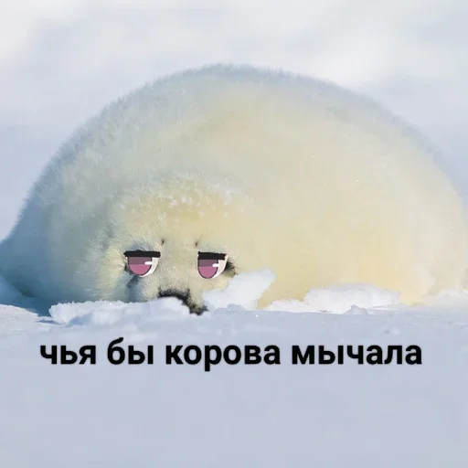 😒 Стикер «Tuni» для Telegram