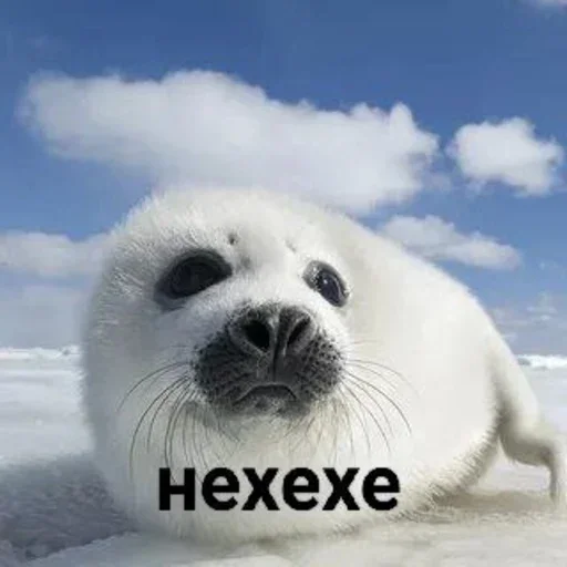 😔 Стикер «Tuni» для Telegram