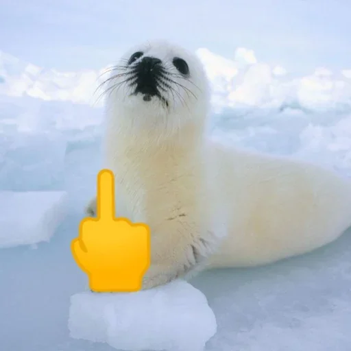 🖕 Стикер «Tuni» для Telegram