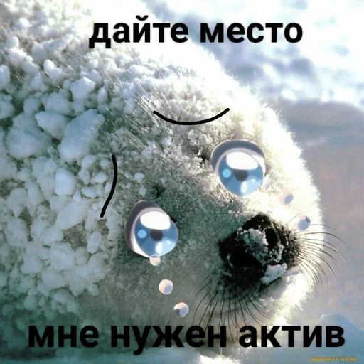😭 Стикер «Tuni» для Telegram