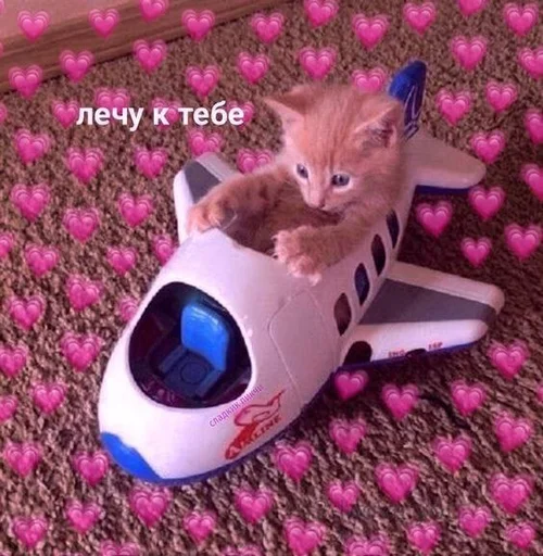 ✈️ Стикер «мяввв» для Telegram