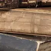 📚 Эмодзи «~ хаотичная академия.» для Telegram