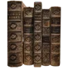 📚 Эмодзи «~ хаотичная академия.» для Telegram