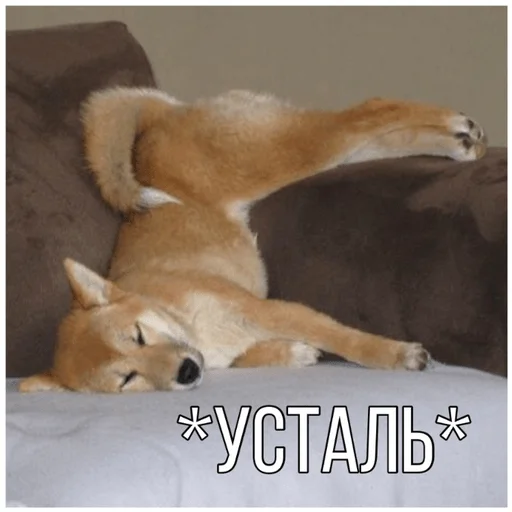 😫 Стикер «Собачки» для Telegram
