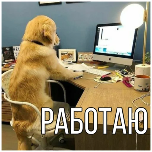 💼 Стикер «Собачки» для Telegram