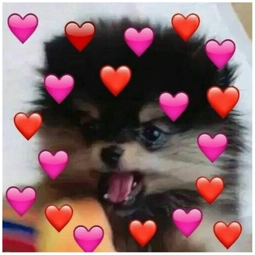 💖 Стикер «Собачки» для Telegram