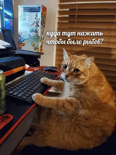 🐟 Стикер «творог скис кис кис» для Telegram