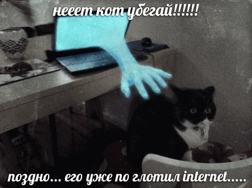🌐 Стикер «творог скис кис кис» для Telegram