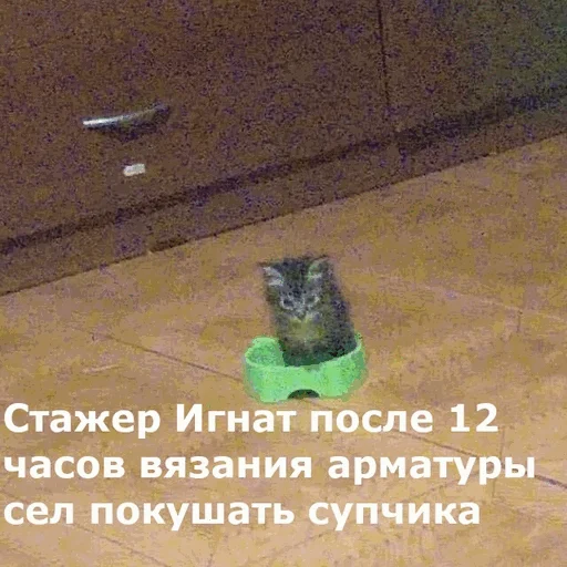 🍜 Стикер «творог скис кис кис» для Telegram