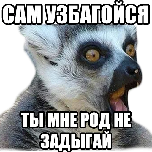 😗 Стикер «Твой сасай» для Telegram