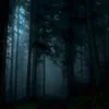 Стикер 14 Twilight Zone