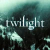 Стикер 40 Twilight Zone