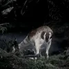 Стикер 11 Twilight Zone