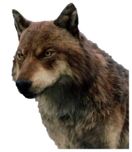 🐺 Стикер «The Twilight Saga» для Telegram
