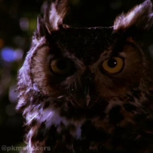 🦉 Стикер «Twin Peaks» для Telegram