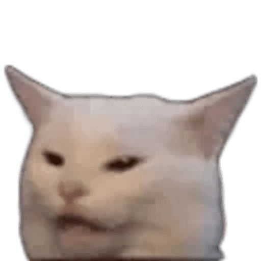 🐱 Стикер «Twitch 7TV Cats» для Telegram